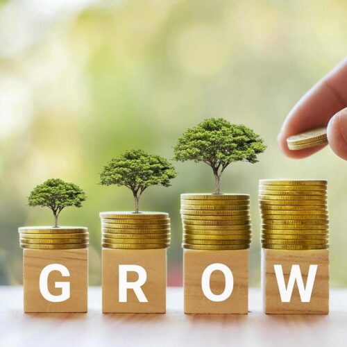 Grow Money Tree